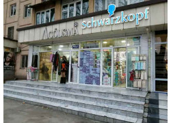 Товары народного потребления - Schwarzkopf